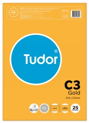 ENVELOPE TUDOR C3 458X324 KRAFT TUFF TAN PEEL/SEAL PK25