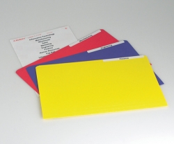 MANILLA FOLDER AVERY F/C + LASER LABEL ASST PK20