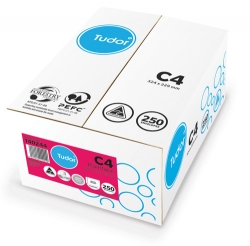 ENVELOPE TUDOR C4 WHITE PEEL/SEAL U/B BX250
