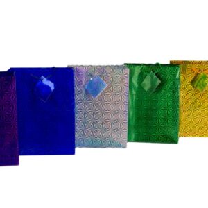 GIFT BAG DELUXE HOLOGRAPHIC 170X220X90MM MEDIUM
