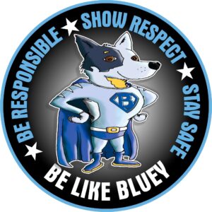 bsss logo